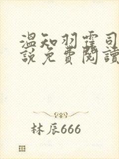 温知羽霍司砚小说免费阅读网页