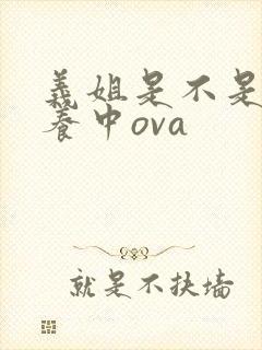 义姐是不是良喂养中ova