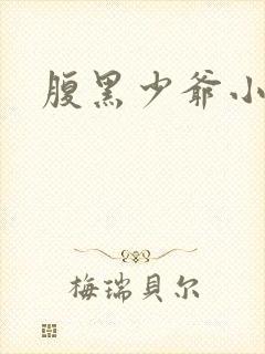 腹黑少爷小甜妻