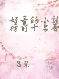 好看的小说排行榜前十名晋江