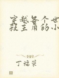 穿越各个世界猎杀主角的小说