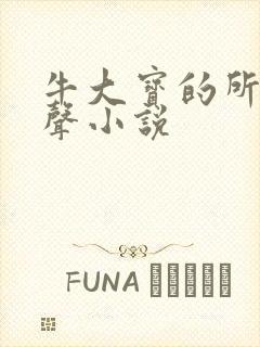 牛大宝的所有有声小说