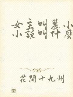 女主叫慕小小的小说叫什么名字