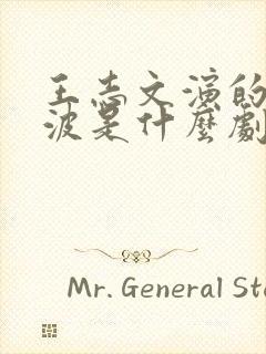 王志文演的冯静波是什么剧