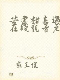 苦尽柑来遇见你在线观看免费观看