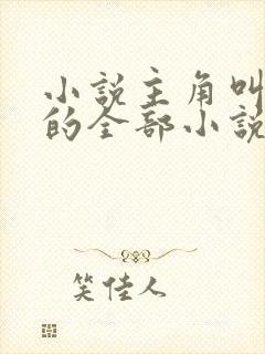 小说主角叫洛天的全部小说