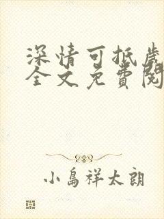 深情可抵岁月长全文免费阅读小说