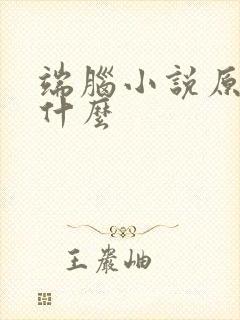 端脑小说原著叫什么