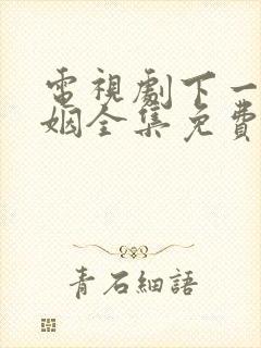 电视剧下一站婚姻全集免费播放