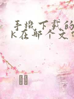 手机下载的apk在哪个文件夹