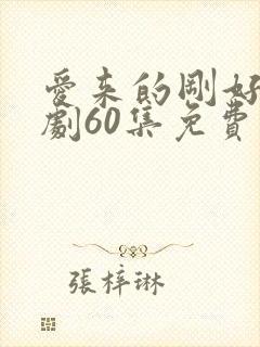 爱来的刚好电视剧60集免费观看