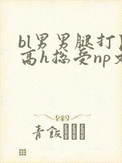 bl男男腿打开高h总受np文