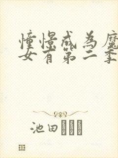 憧憬成为魔法少女有第二季吗?