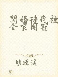 闪婚后我被老公全家团宠