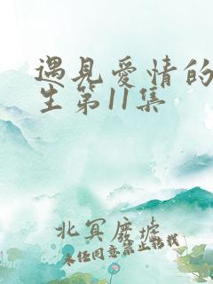 遇见爱情的利先生第11集