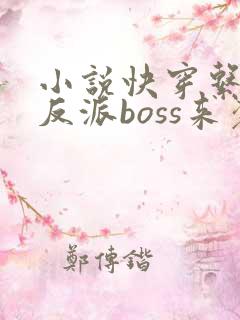 小说快穿系统之反派boss来袭