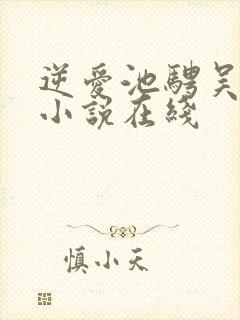 逆爱池骋吴所畏小说在线