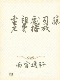 电视剧司藤全集免费播放