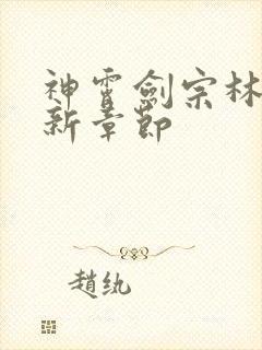 神霄剑宗林枫最新章节