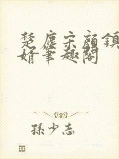 楚尘宋颜镇国神婿笔趣阁