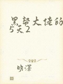 黑帮大佬的365天2