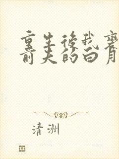 重生后我变成了前夫的白月光