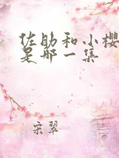 佐助和小樱结婚是哪一集