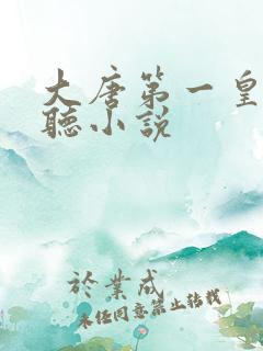 大唐第一皇太子听小说