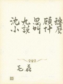 沈九思顾穗宁的小说叫什么名字