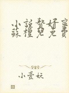 小说赘婿宁毅/苏檀儿免费阅读全文