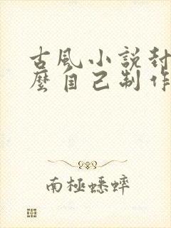 古风小说封面怎么自己制作