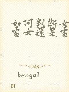 如何判断女人是处女还是处女