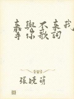 来与不来我都在等你歌词