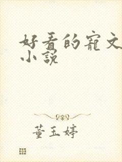 好看的宠文甜文小说