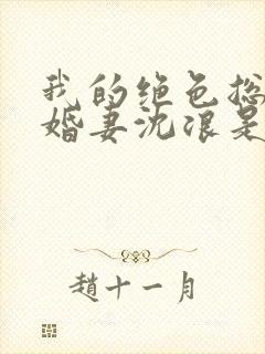 我的绝色总裁未婚妻沈浪是什么身份