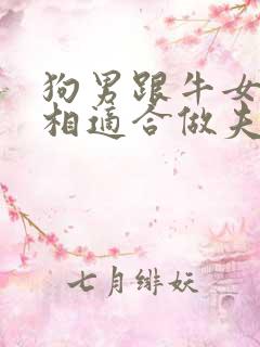 狗男跟牛女的属相适合做夫妻吗