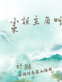 小说主角叫李卫东