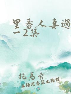 里番人妻过夜1一2集