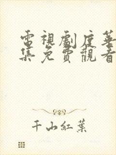 电视剧度华年全集免费观看