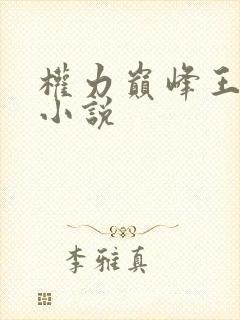 权力巅峰王洪涛小说