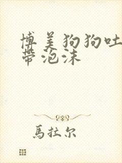 博美狗狗吐黄水带泡沫