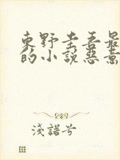 东野圭吾最好看的小说恶意