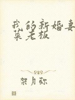 我的新婚妻子与菜老板