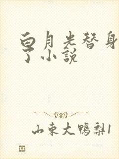 白月光替身不干了小说