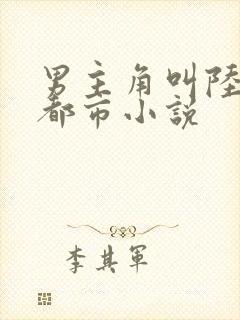 男主角叫陆原的都市小说