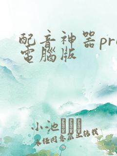 配音神器pro电脑版