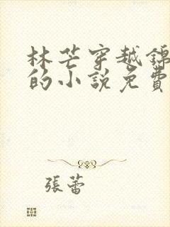 林芒穿越锦衣卫的小说免费阅读