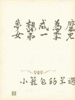 梦想成为魔法少女第一季免费观看樱花