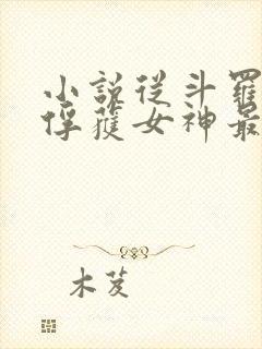 小说从斗罗开始俘获女神最新章节列表