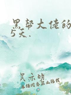 黑帮大佬的365天.